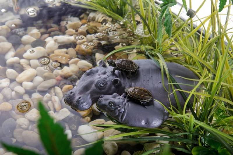 Exo Terra Turtle Islands
